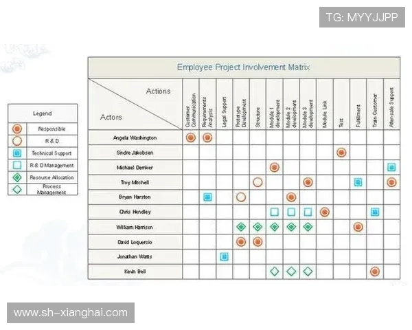 南京飞盘队的战术演变与团队协作深度解析